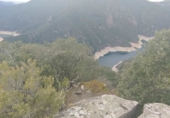 Non-developable land for sale in Osor ref: TR73697 photo