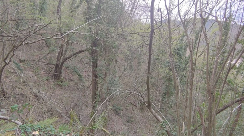Gerona - Sant Martí Sacalm - 799m2