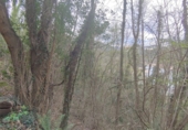 Non-developable land for sale in Osor ref: TR73697 photo