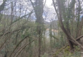 Non-developable land for sale in Osor ref: TR73697 photo