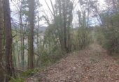 Non-developable land for sale in Osor ref: TR73697 photo