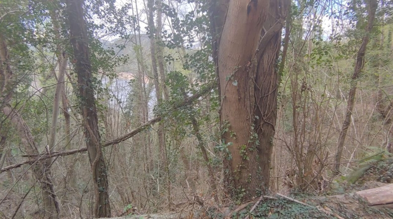 Gerona - Sant Martí Sacalm - 799m2