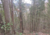 Non-developable land for sale in Osor ref: TR73697 photo
