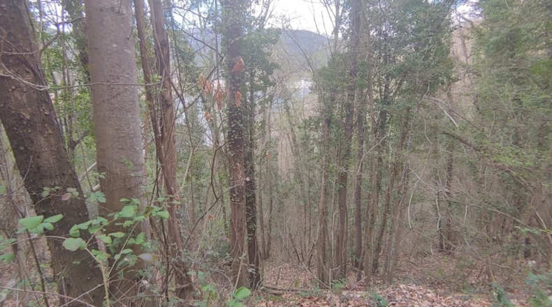 Gerona - Sant Martí Sacalm - 799m2