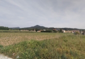 Urban land for sale in Bescanó ref: TR99468 photo