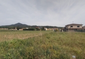 Urban land for sale in Bescanó ref: TR99468 photo
