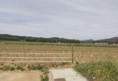 Urban land for sale in Bescanó ref: TR99468 photo