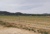 Urban land for sale in Bescanó ref: TR99468 photo