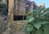 Земельный участок на продажу в городе Sant Gregori. Фото