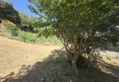 Земельный участок на продажу в городе Sant Gregori. Фото