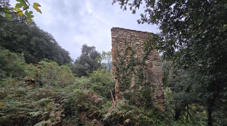 Girona - Osor - 23641m2