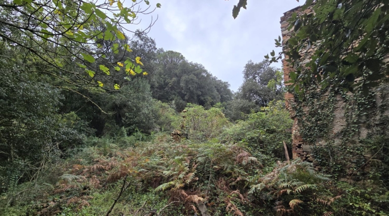 Girona - Osor - 23641m2