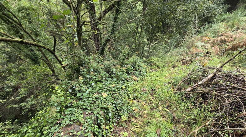 Girona - Osor - 23641m2