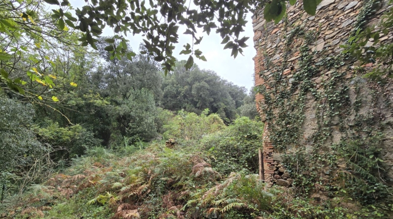 Girona - Osor - 23641m2