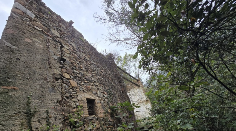 Girona - Osor - 23641m2