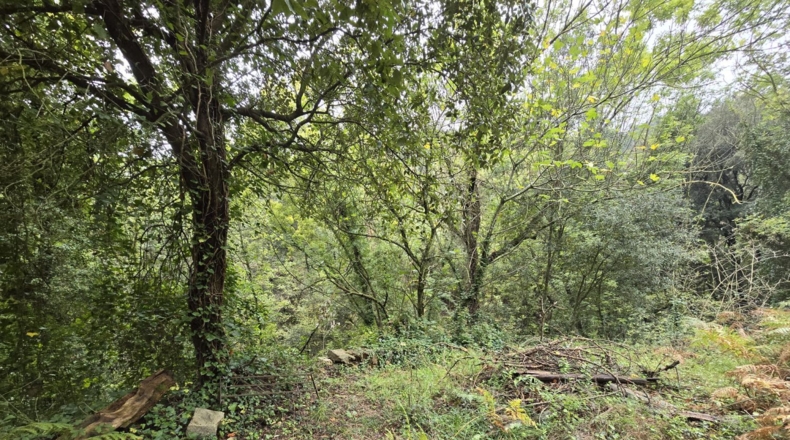 Girona - Osor - 23641m2