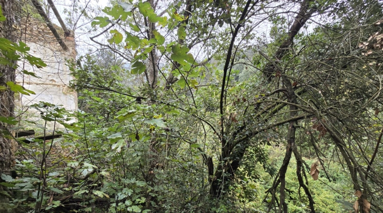 Girona - Osor - 23641m2