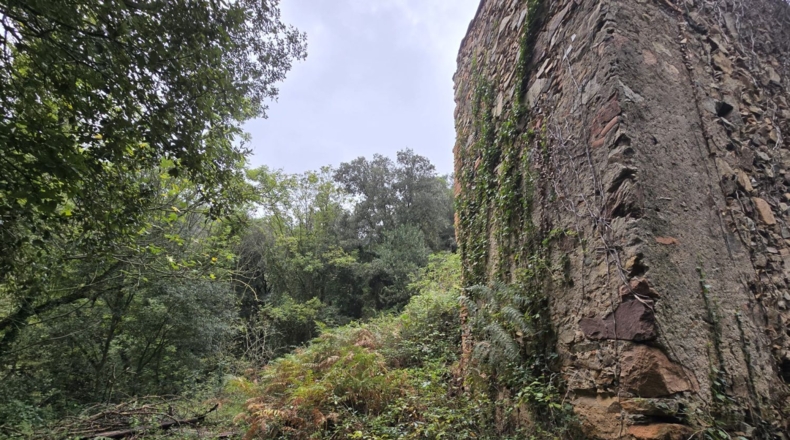 Girona - Osor - 23641m2