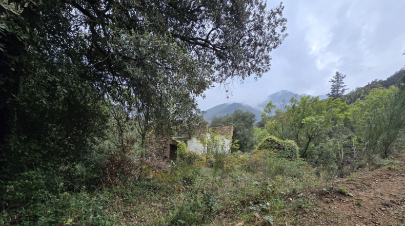 Girona - Osor - 23641m2