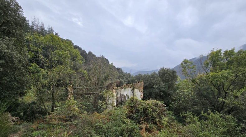 Girona - Osor - 23641m2