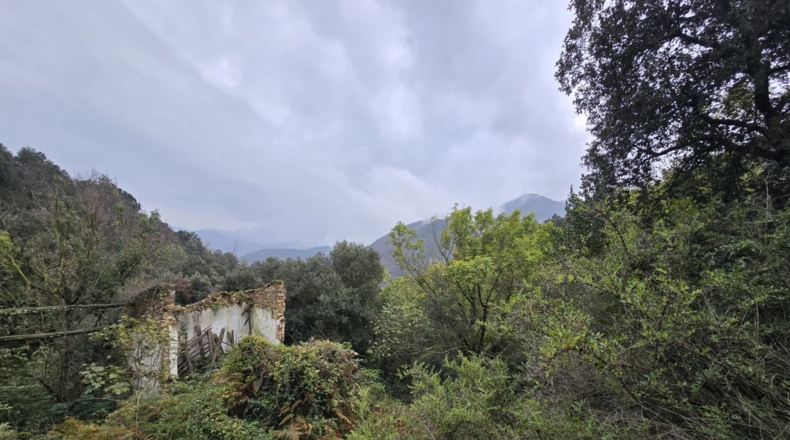 Girona - Osor - 23641m2