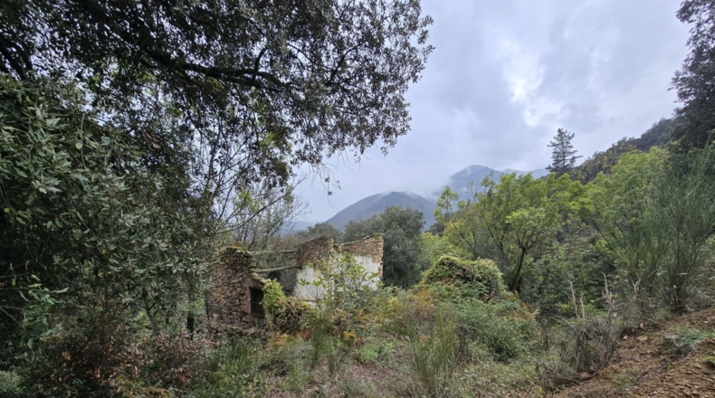 Girona - Osor - 23641m2