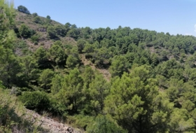 Begur 16143&nbsp;м²