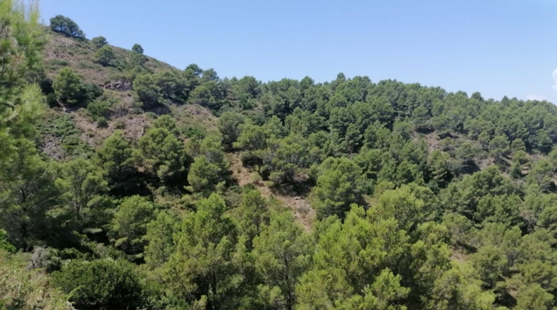 Gerona - Aiguafreda - 16143m2