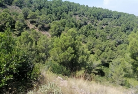 Begur 16143&nbsp;м²