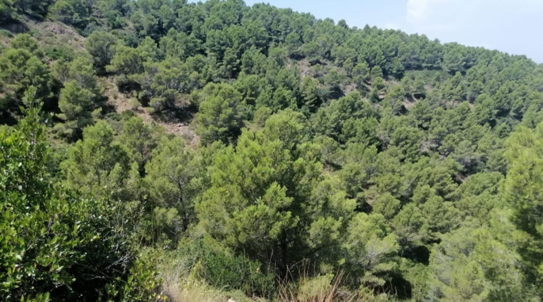 Gerona - Aiguafreda - 16143m2