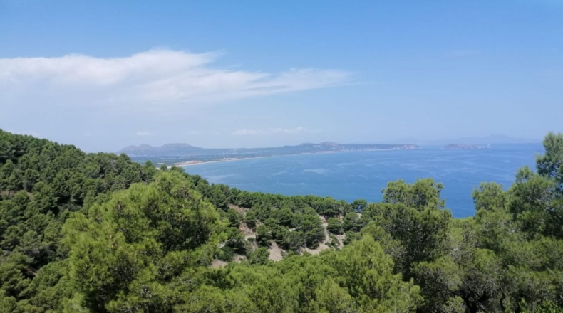 Gerona - Aiguafreda - 16143m2