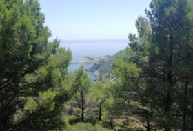 Begur 16143&nbsp;м²