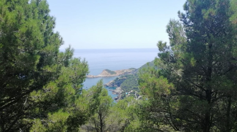 Gerona - Aiguafreda - 16143m2