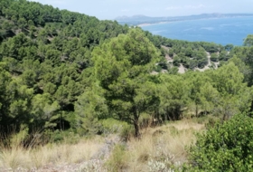 Begur 16143&nbsp;м²