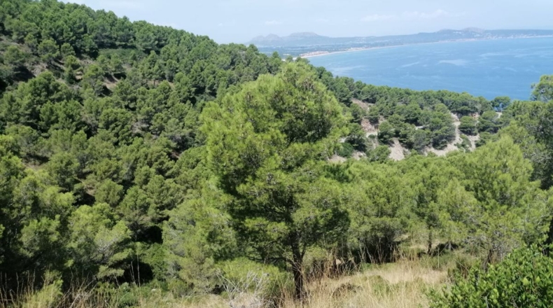 Gerona - Aiguafreda - 16143m2