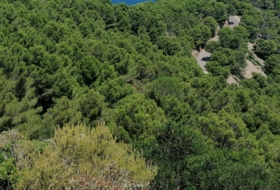 Begur 16143&nbsp;м²