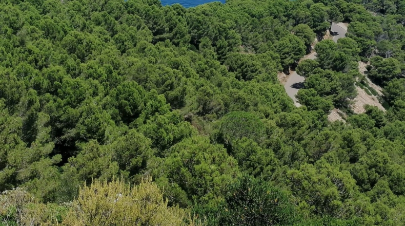 Gerona - Aiguafreda - 16143m2