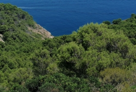 Begur 16143&nbsp;м²