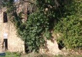 Rural estate for sale in Palafrugell ref: TR16443 photo