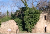 Rural estate for sale in Palafrugell ref: TR16443 photo