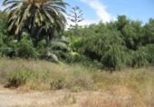 Parcel·la urbanitzable en venda a Mojácar ref.: TR33154 foto
