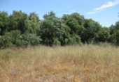 Parcel·la urbanitzable en venda a Mojácar ref.: TR33154 foto