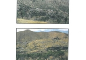 Finca rústica en venda a la España, Turre, ref.: TR36672 foto