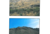 Finca rústica en venda a la España, Turre, ref.: TR36672 foto