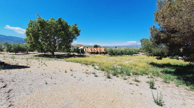 Almería - Las Alparatas - 5000m2