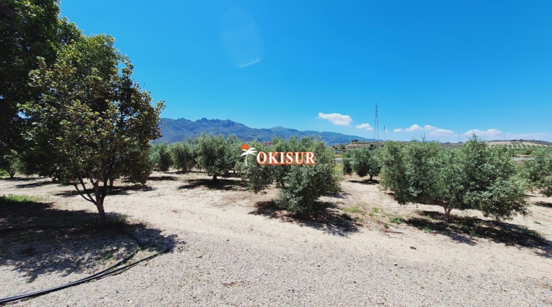 Almería - Las Alparatas - 5000m2