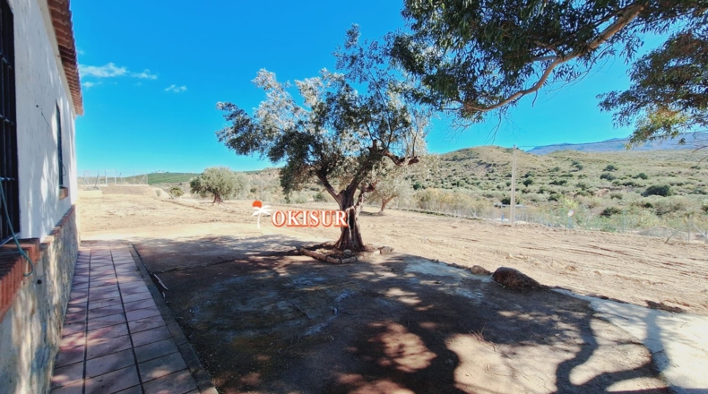 Almería - Los Gallardos - 4930m2