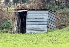 Foto 5