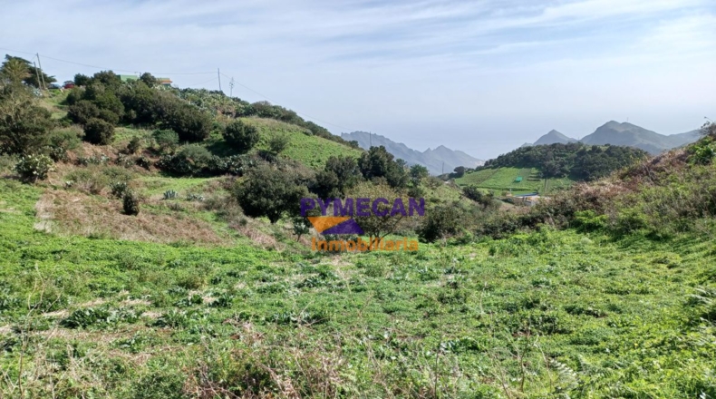Santa Cruz de Tenerife - San Cristóbal de La Laguna - 29000m2