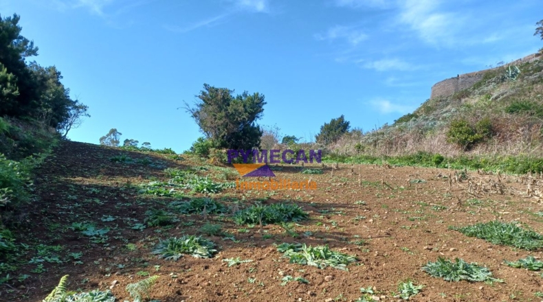 Santa Cruz de Tenerife - San Cristóbal de La Laguna - 29000m2